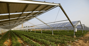 Agrivoltaics