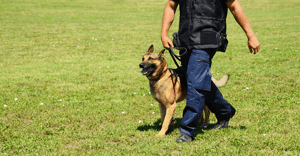 Three steps to keep intruders out of your solar farm